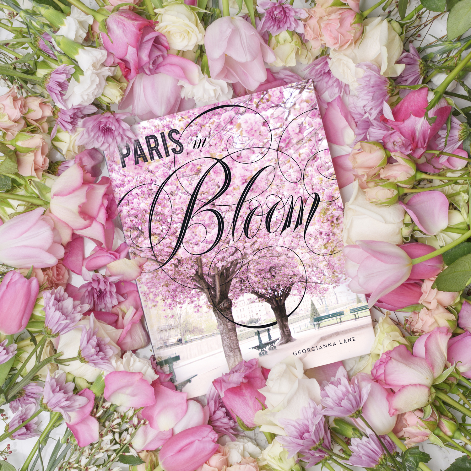 Paris in Bloom by Georgianna Lane