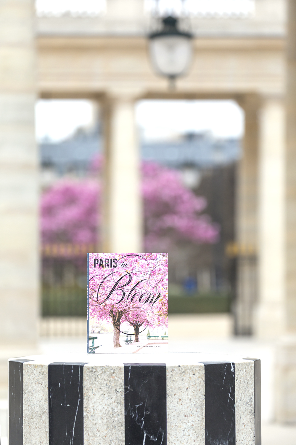 Paris in Bloom by Georgianna Lane at the Palais Royal, Paris, in Spring