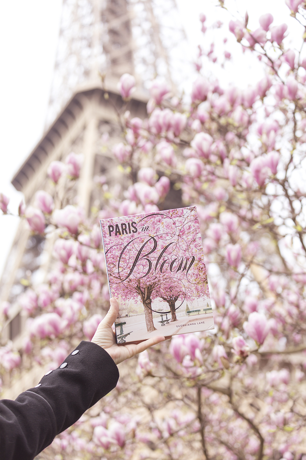 Paris in Bloom book by Georgianna Lane