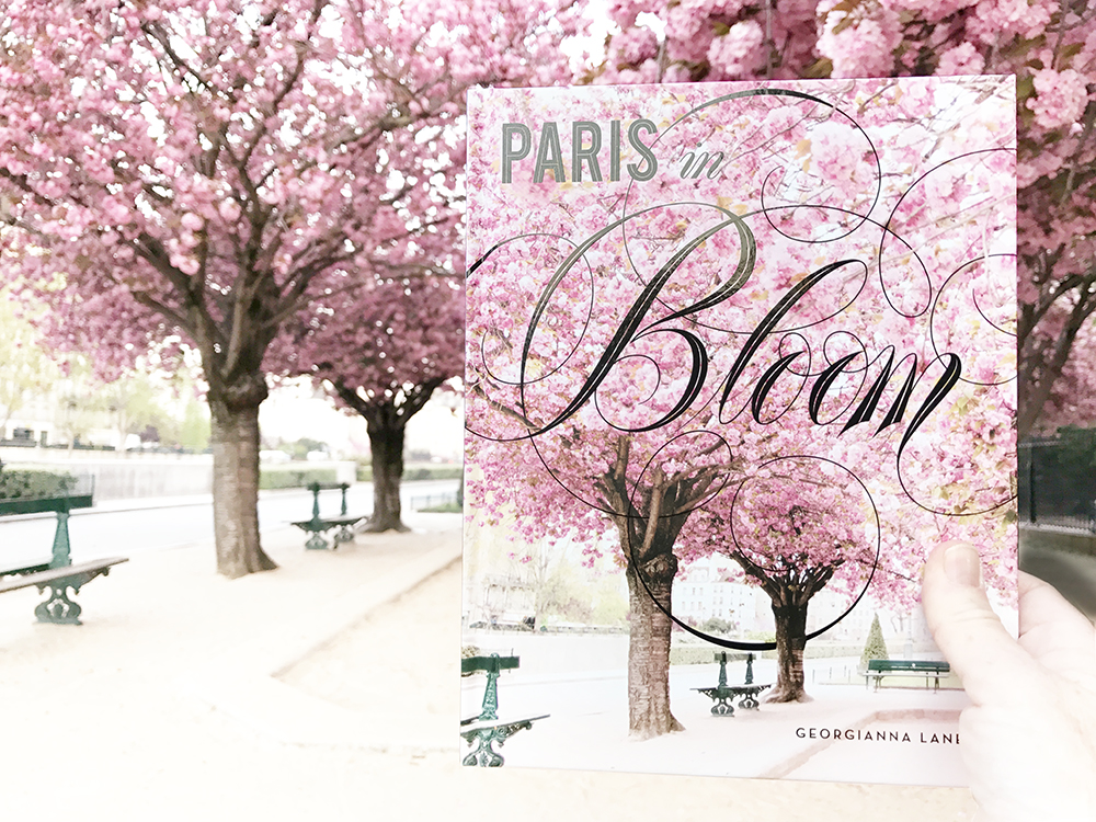 Cherry blossoms in Paris by Georgianna Lane, author of Paris in Bloom