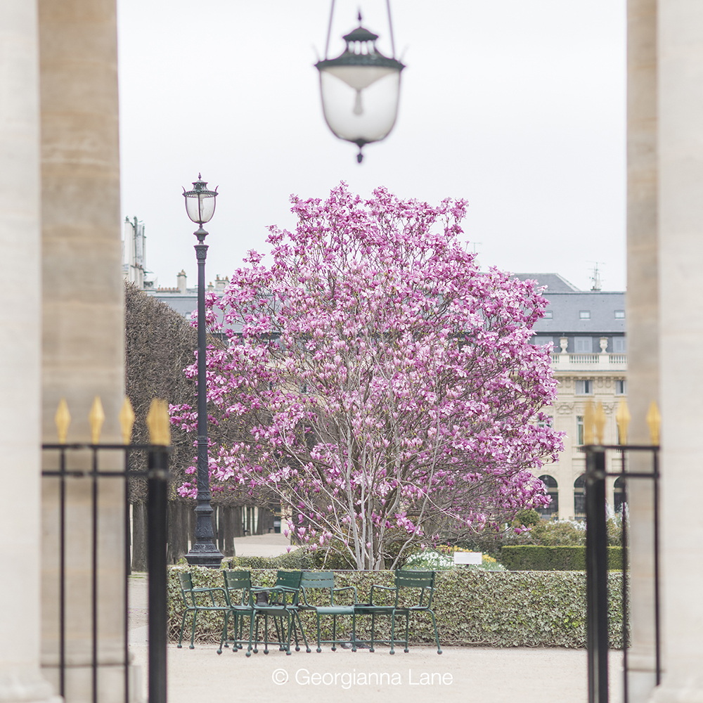 Palais Royal, Paris, in spring by Georgianna Lane