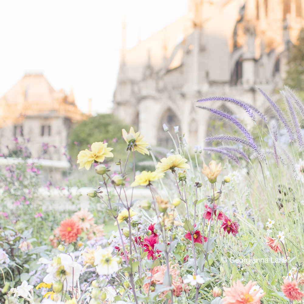 Autumn in Paris by Georgianna Lane