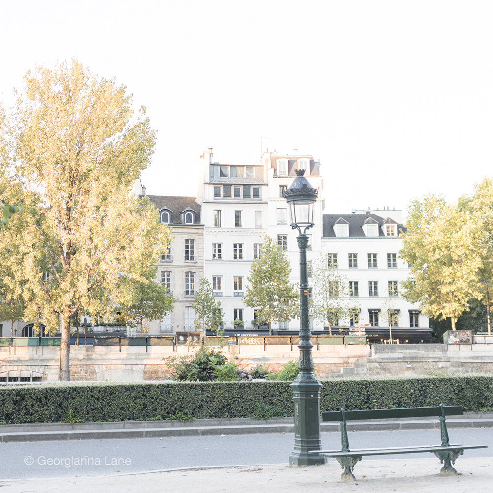 Autumn in Paris by Georgianna Lane