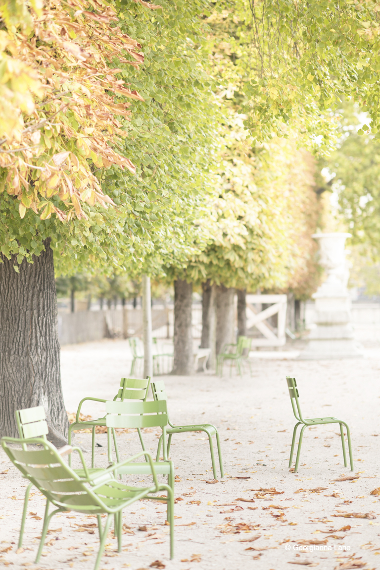 Autumn in Paris by Georgianna Lane