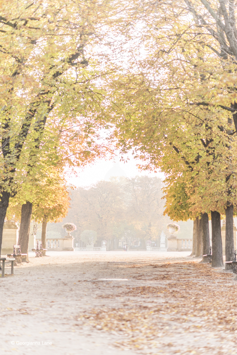 Autumn in Paris by Georgianna Lane