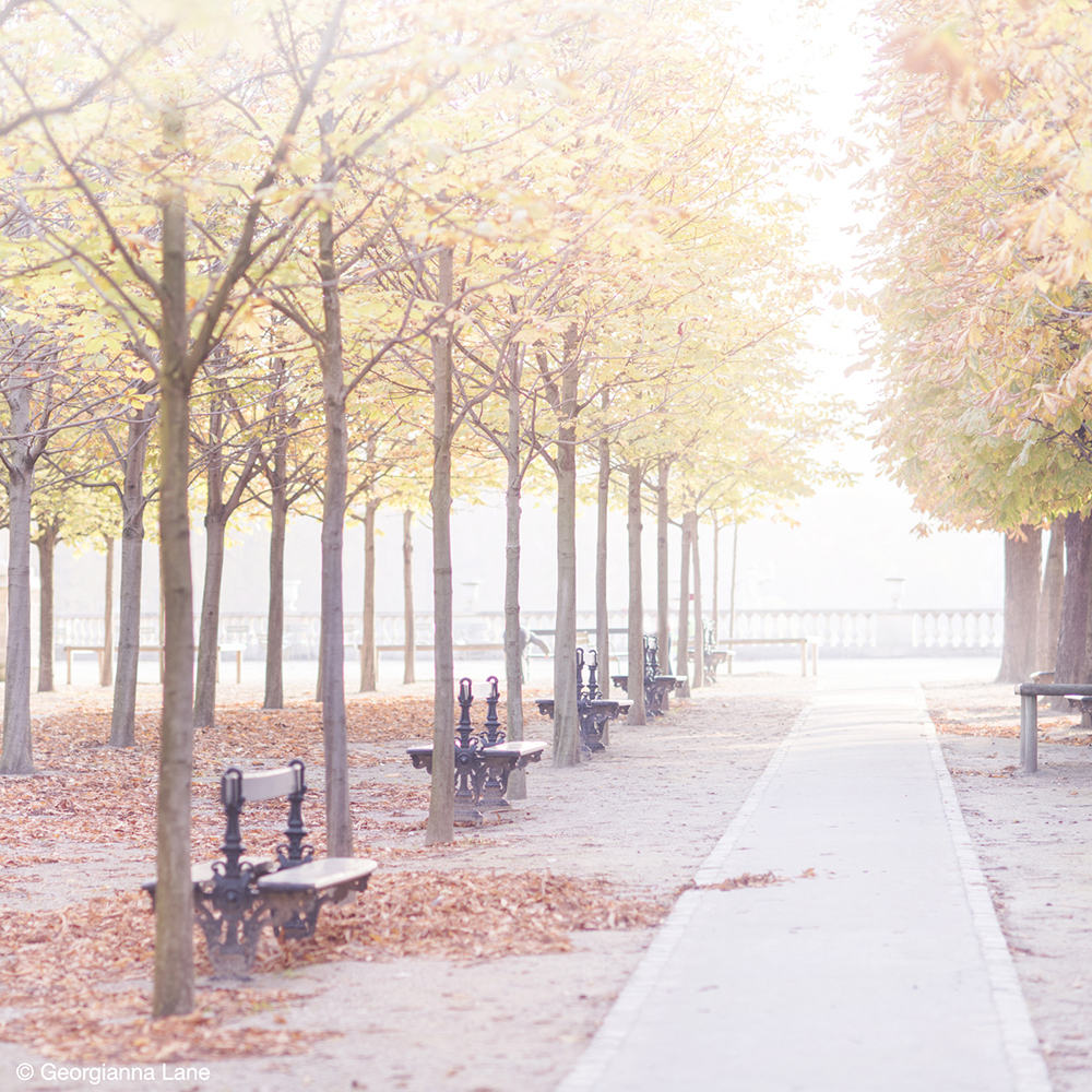 Autumn in Paris by Georgianna Lane