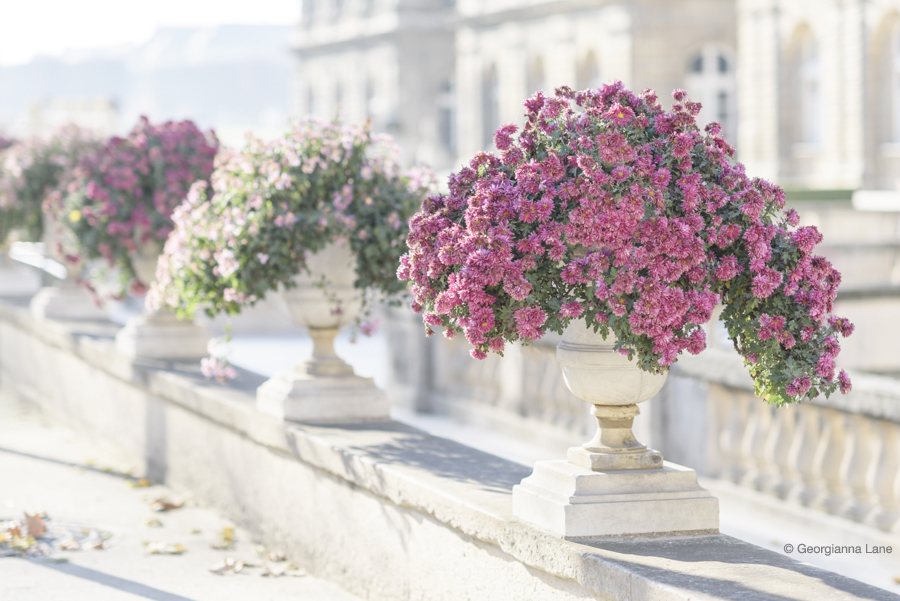 Autumn in Paris by Georgianna Lane