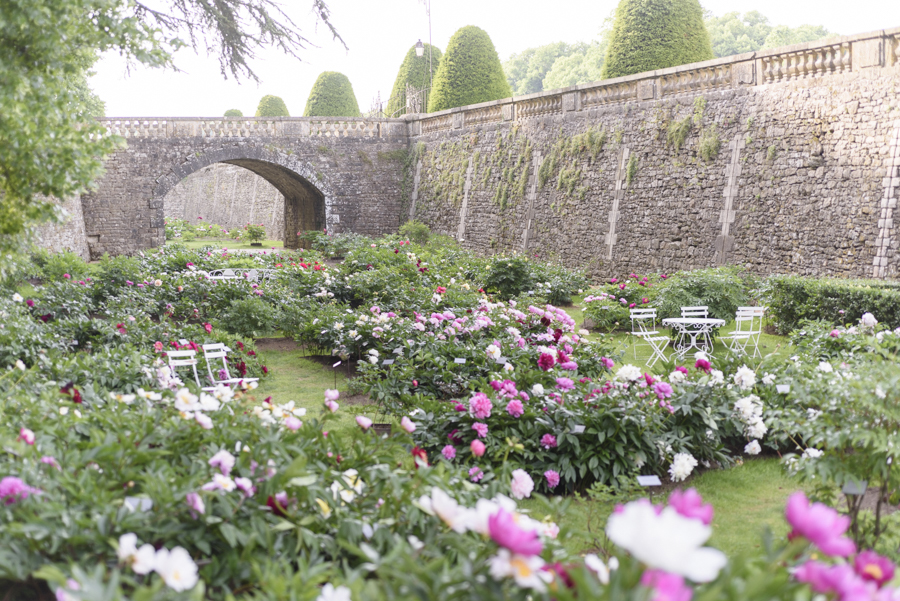 Chateau de Sourches Peony Garden by Georgianna Lane