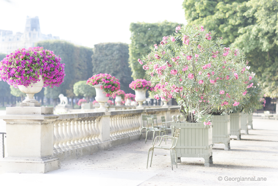 Luxembourg Garden, Paris, by Georgianna Lane