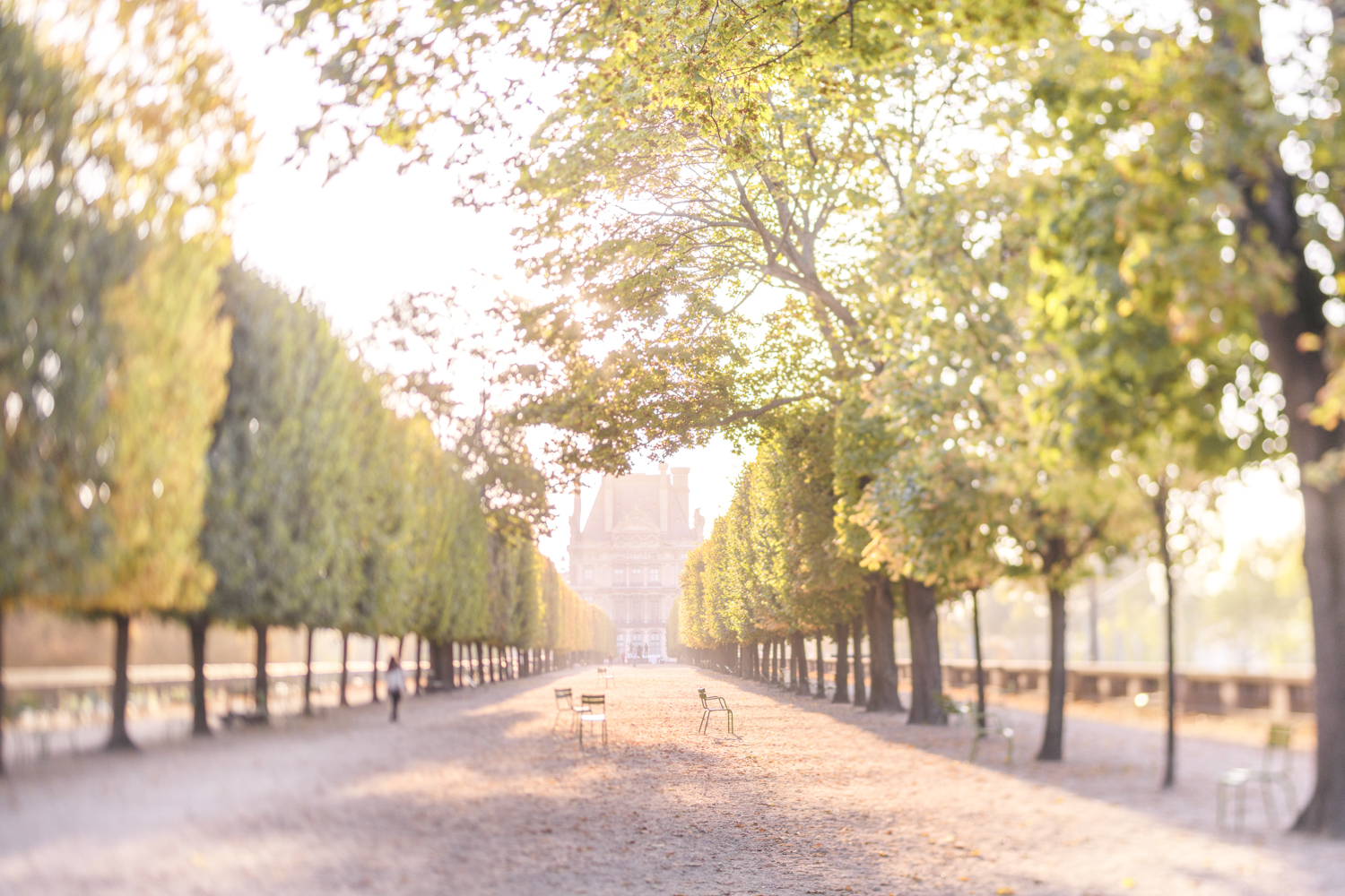 Autumn in the Tuileries, Paris, by Georgianna Lane