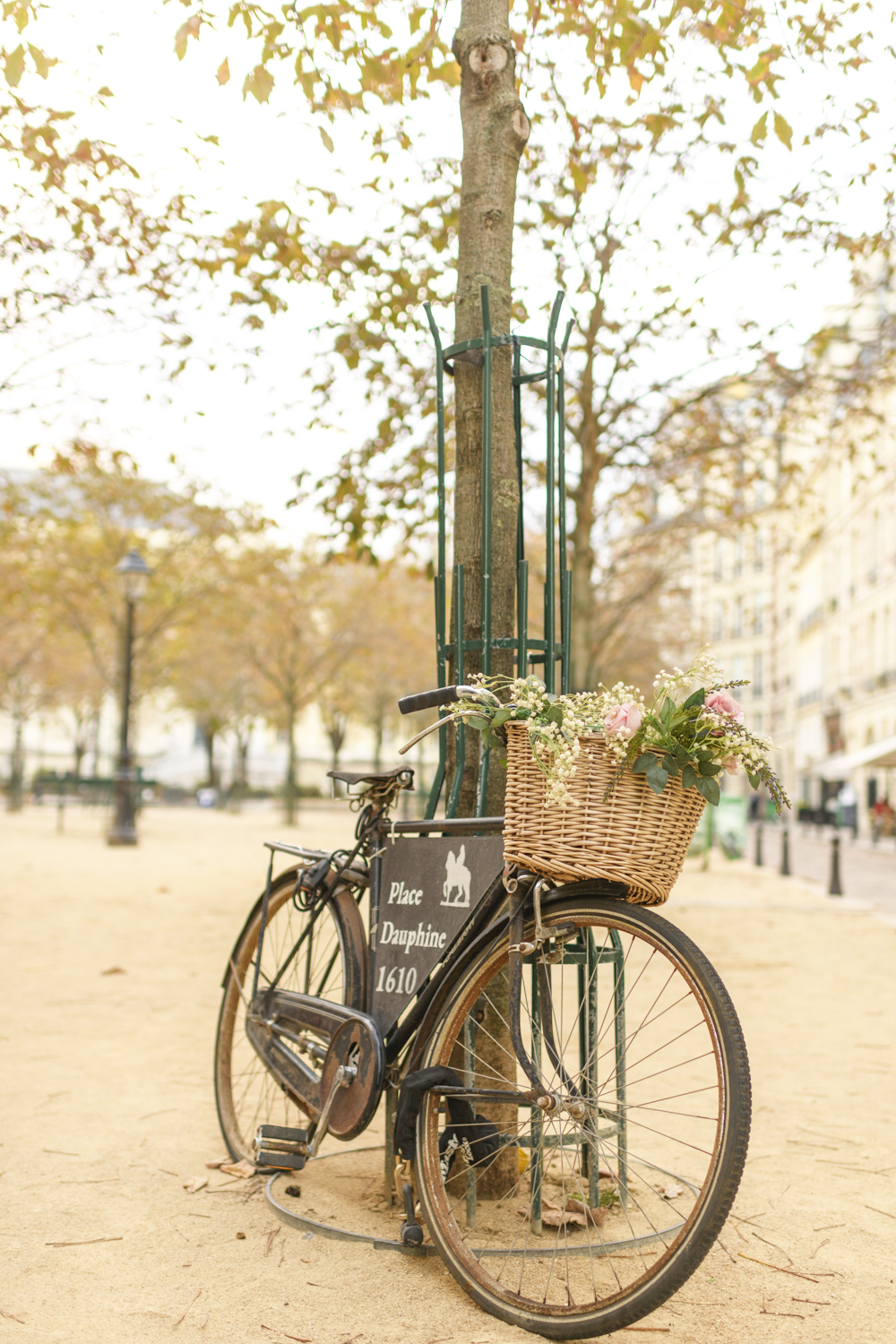 Place Dauphine, Paris, by Georgianna Lane