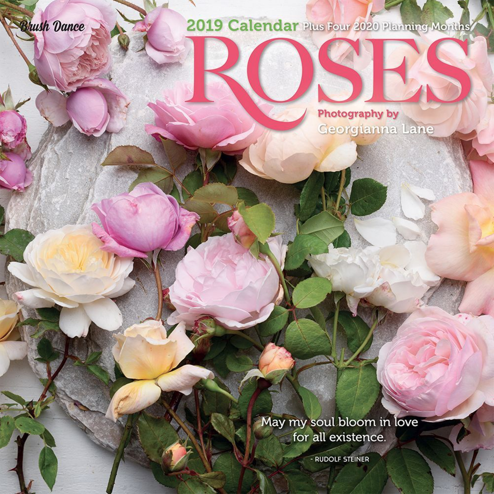 Roses 2019 Calendar by Georgianna Lane
