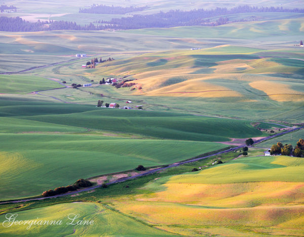 Footloose in The Palouse: Dawn