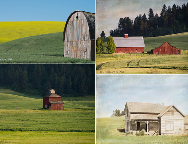 Footloose in The Palouse: Land and Sky