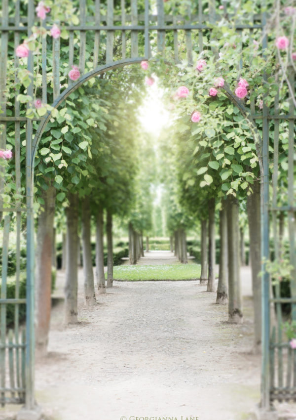 Gardens and Inspiration: A Day at Versailles