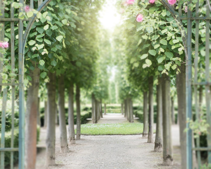 Garden at Le Petit Trianon, Versailles by Georgianna Lane