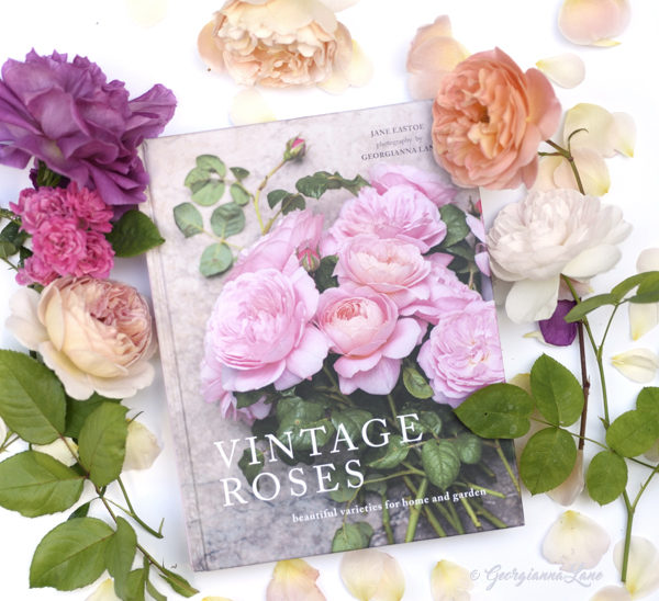 Vintage Roses – New Book Release!