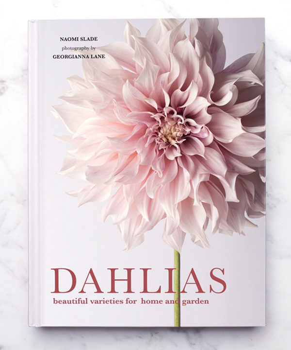 My Latest Book Release: Dahlias!