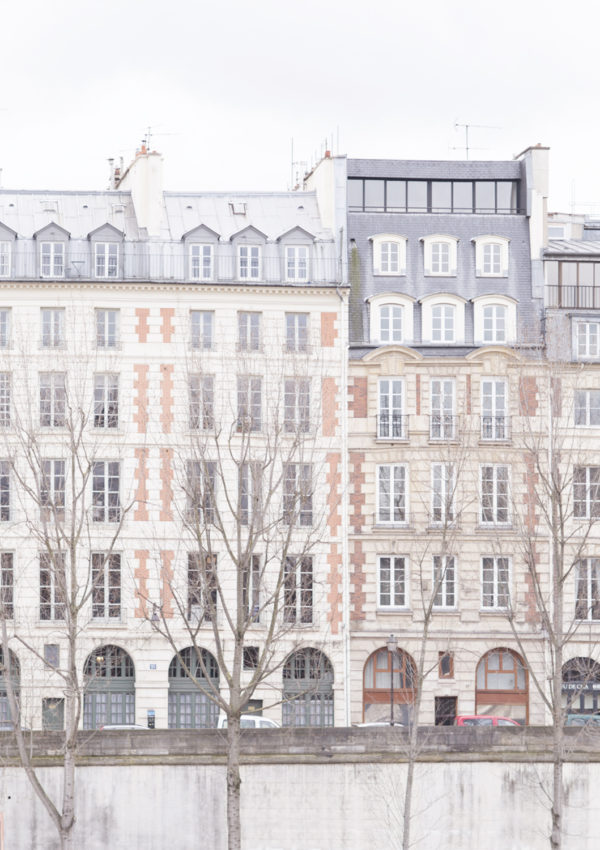 A Winter Vision of Paris