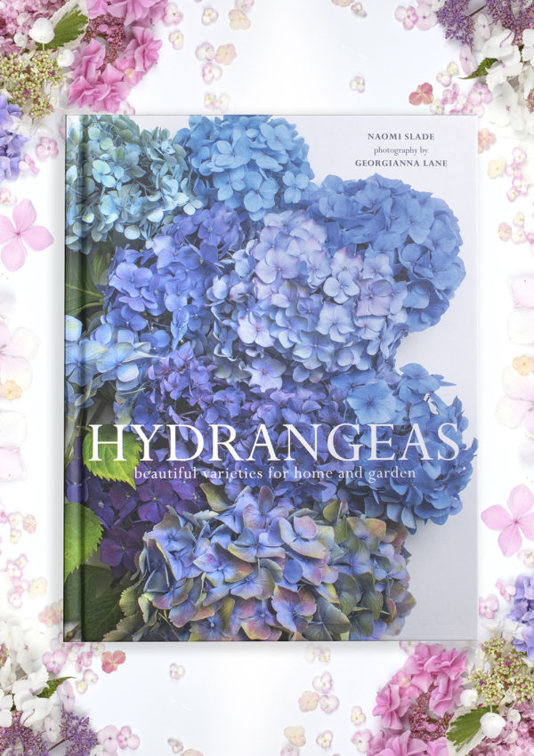 New Book Release: Hydrangeas!