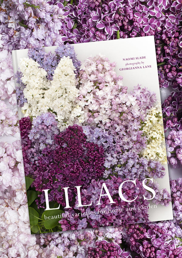 Lilacs Has Launched Worldwide!