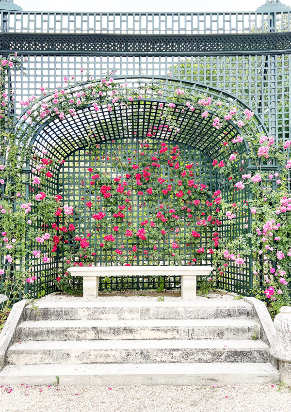 Roseraie de l’Hay, a Gorgeous Paris Rose Garden