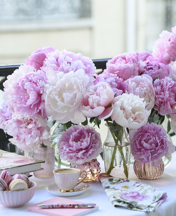 An Indulgence of Paris Peonies