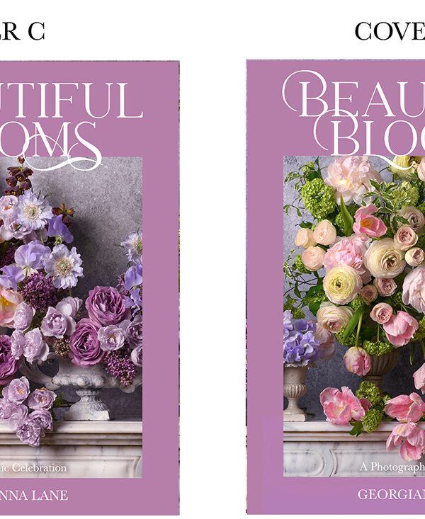 Protected: Cover Choices for My New Book!