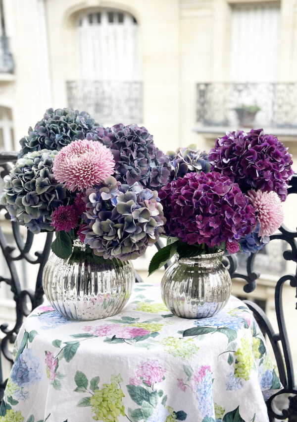 Late Summer Hydrangeas in Paris