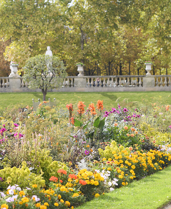 Early Autumn in Jardin du Luxembourg