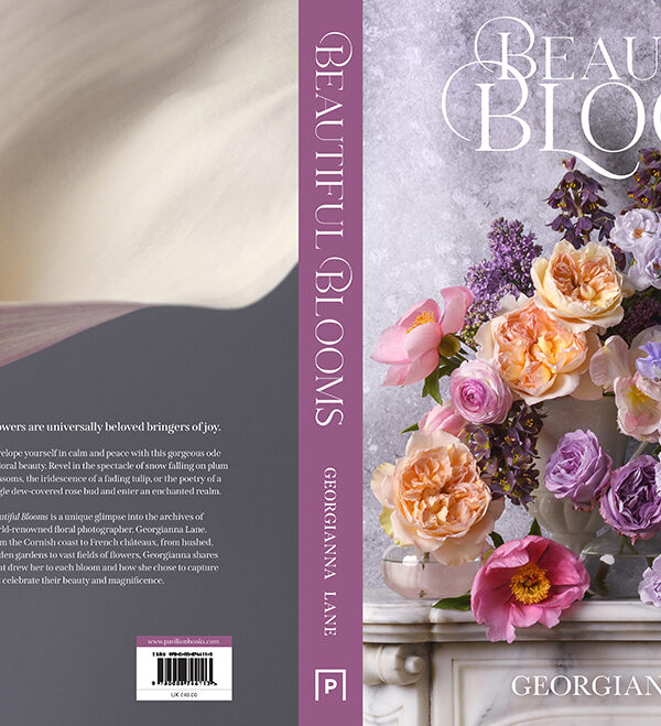 New Book Cover Reveal!